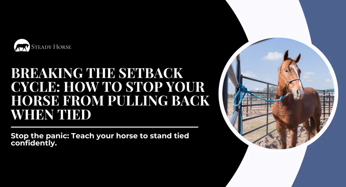 Breaking the Setback Cycle: How to Stop Your Horse from Pulling Back When Tied