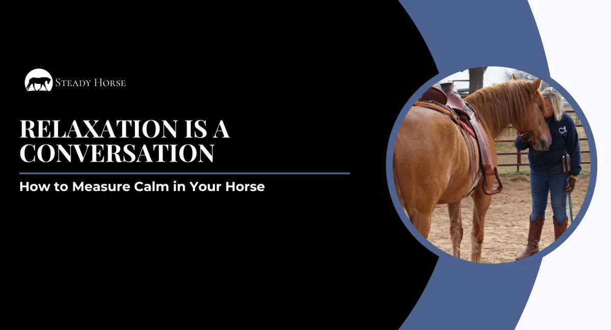 Relaxation Is a Conversation: How to Measure Calm in Your Horse