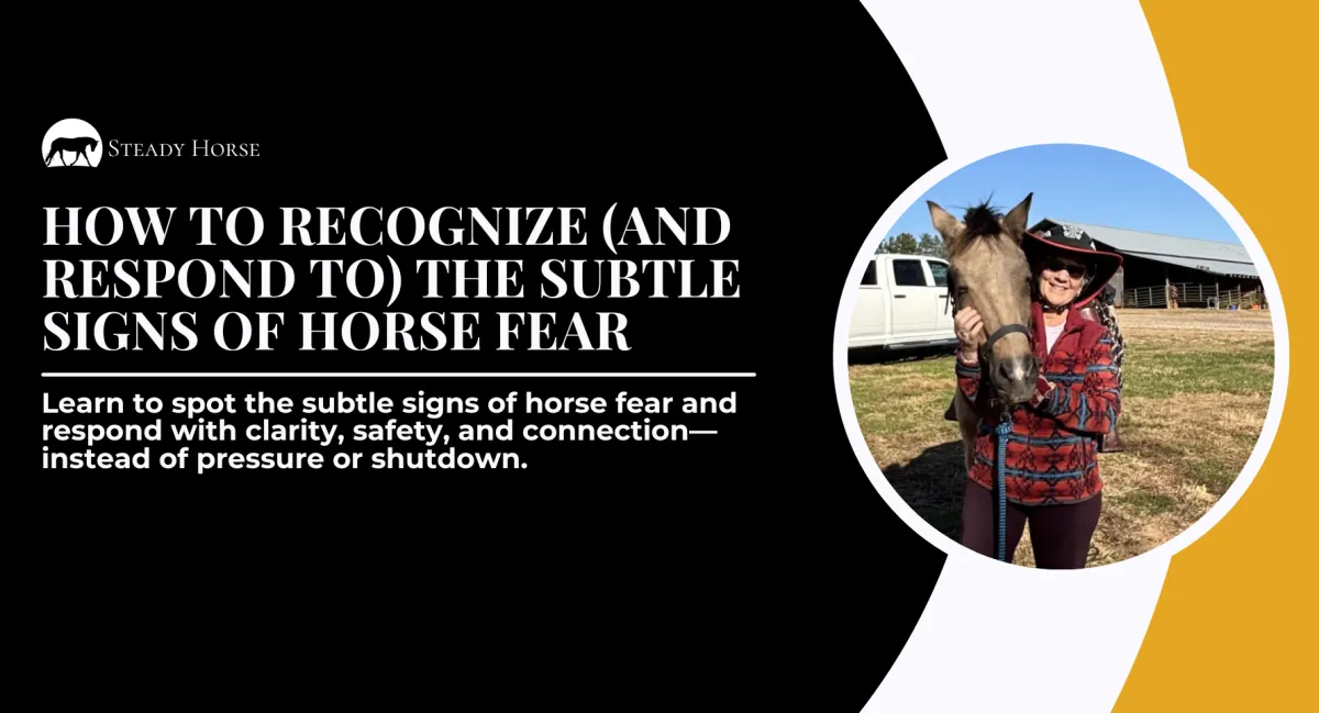 How to Recognize (and Respond to) the Subtle Signs of Horse Fear