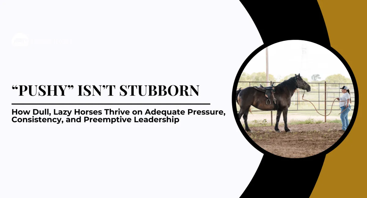 Why Pushy Horses Aren’t Really Stubborn