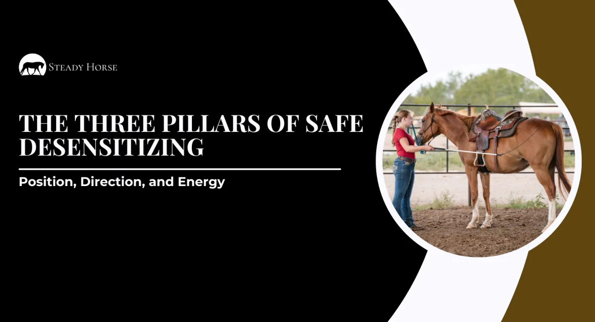 The Three Pillars of Safe Desensitizing