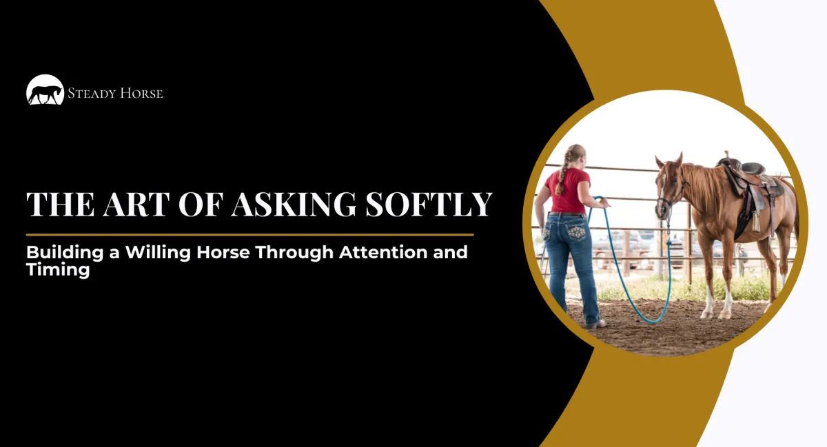 The Art of Asking Softly