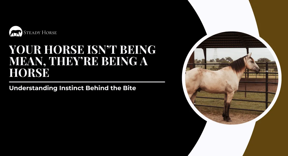 Understanding Instinct Behind the Bite