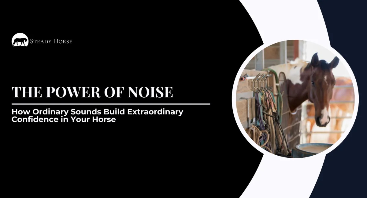 The Power of Noise