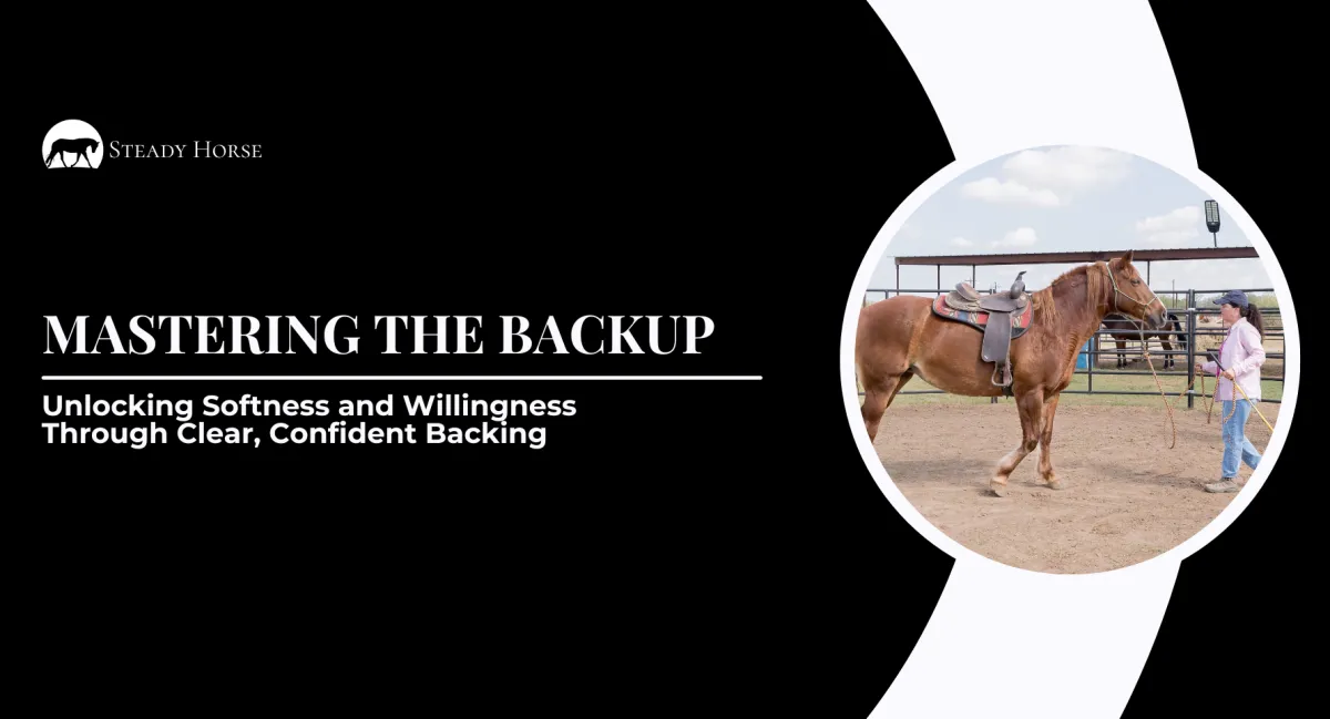 Mastering the Backup