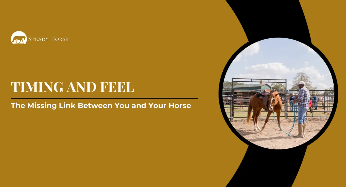 The Missing Link Between You and Your Horse