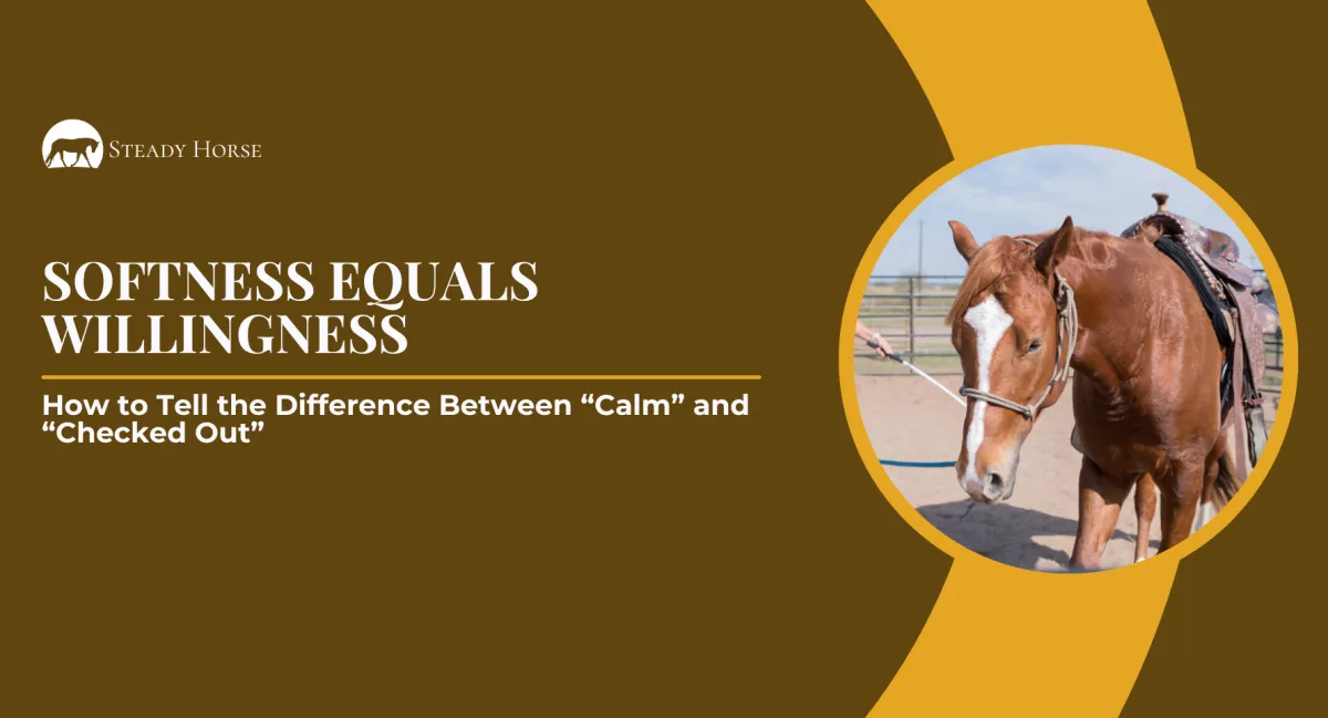 Softness Equals Willingness