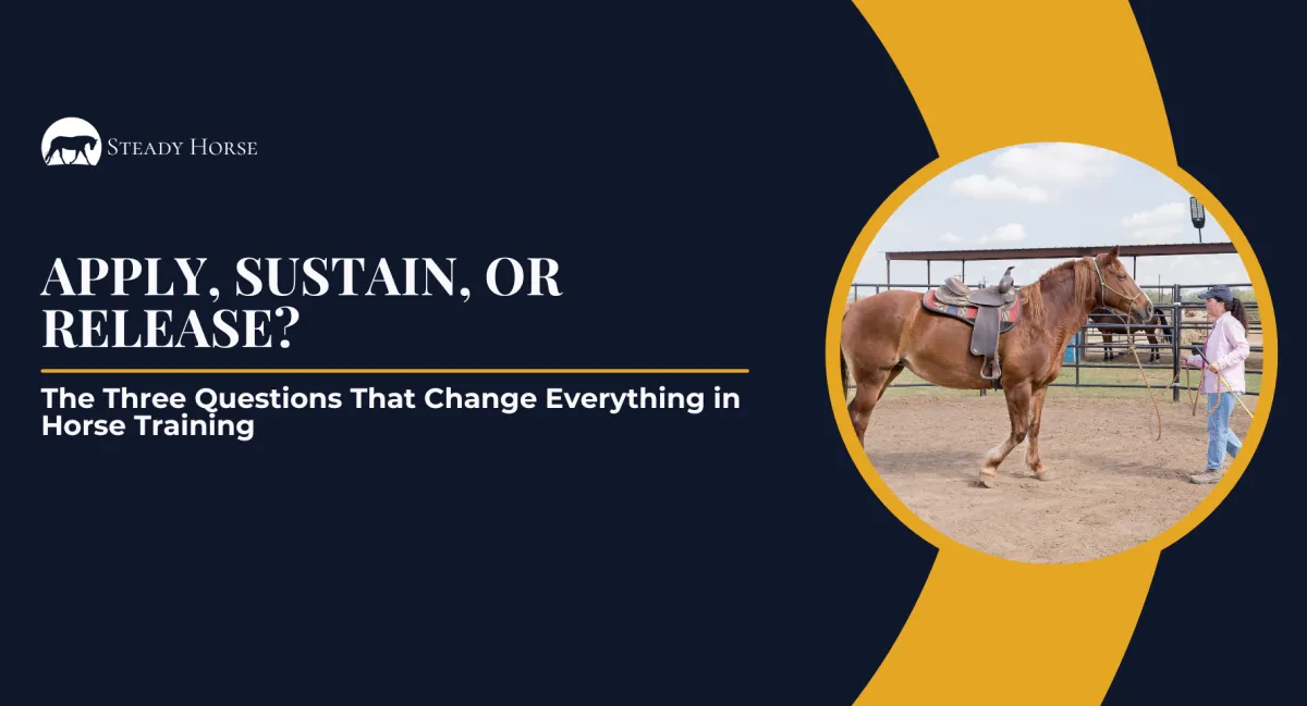 Apply, Sustain, or Release?