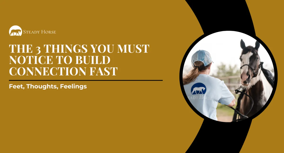 The 3 Things You Must Notice to Build Connection Fast