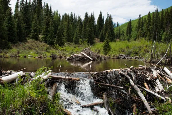 Understand what’s behind that “off” feeling