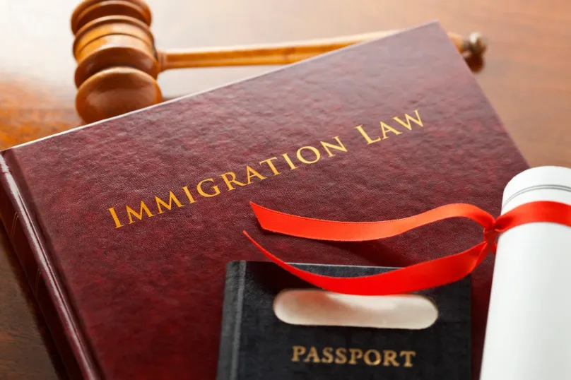 Immigration Law