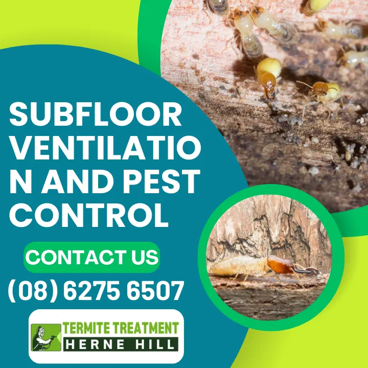 Understanding Subfloor Ventilation – Why It’s Essential for Your Home’s Health