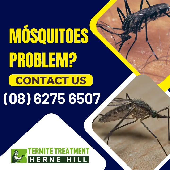 mosquito-warning-summer-2025