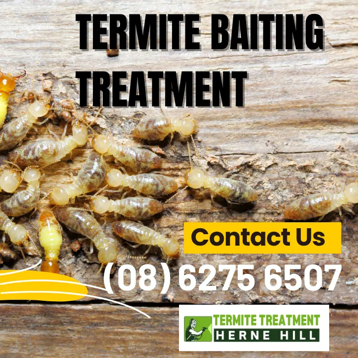 Termite Baiting