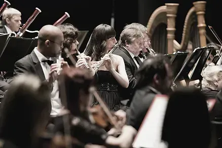 A group of orchestra musicians performing a concert