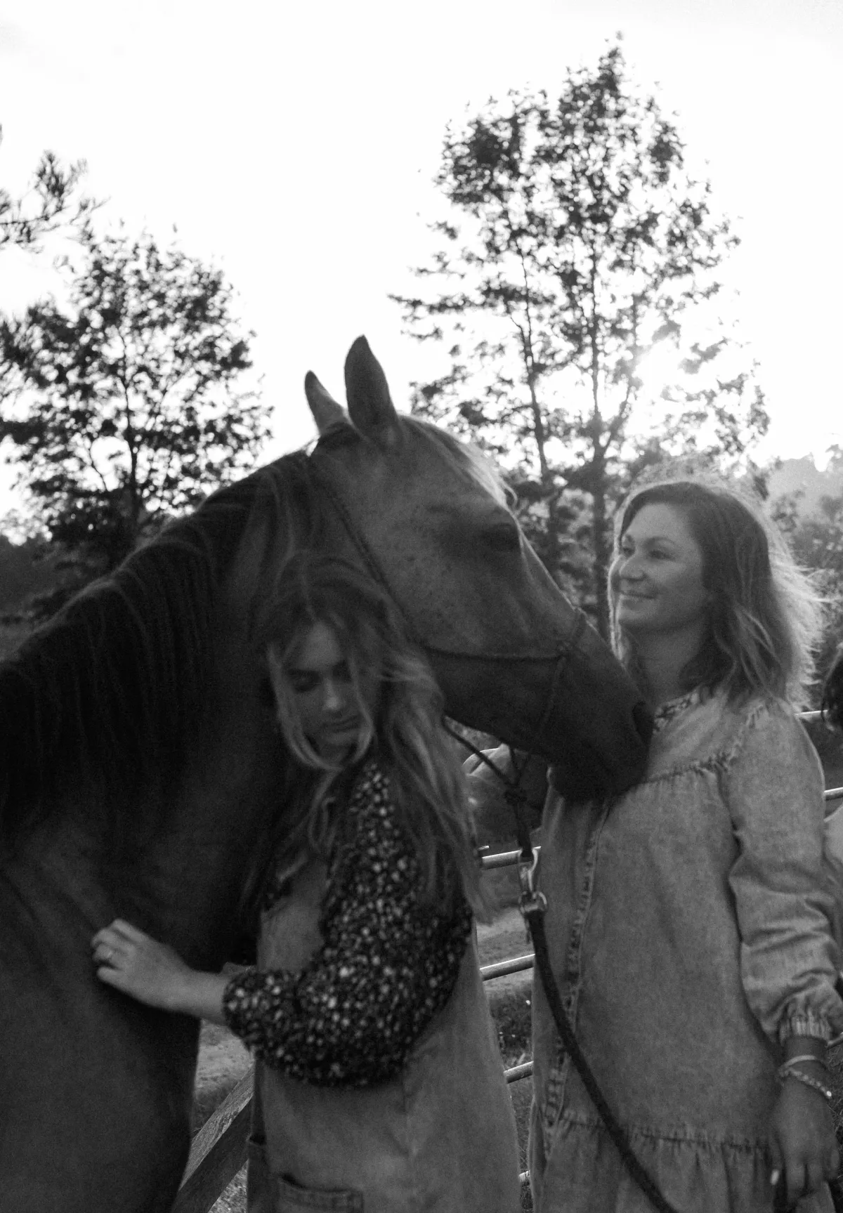 The Most Expensive Words I See in Wills: “To My Children Equally” | Family First Estate Planning