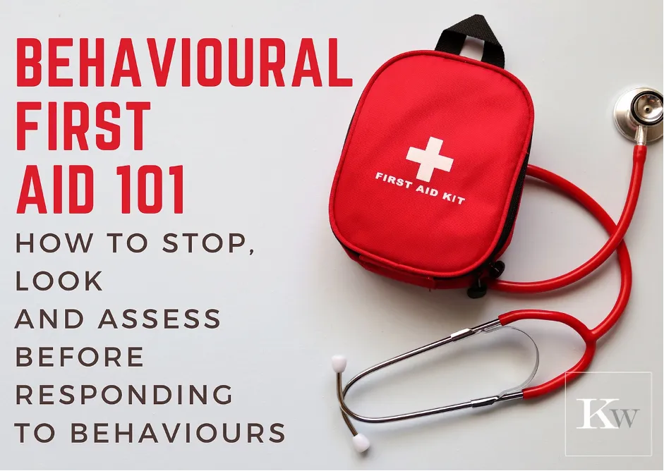 Behavioural First Aid 101