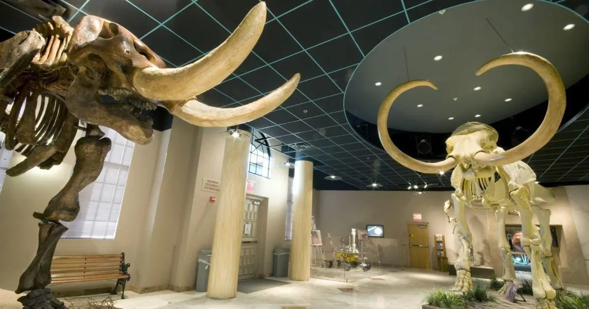 Journey Through Time at the Arizona Museum of Natural History