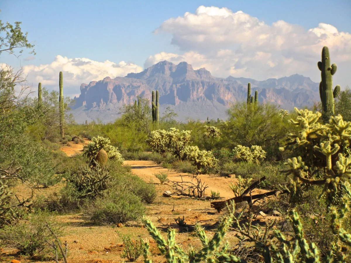 Explore the Wonders of Usery Mountain Regional Park – Arizona’s Outdoor Playground