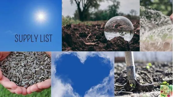 Smart Spending Ideas: Simple Gardening for More Food, Less Fuss