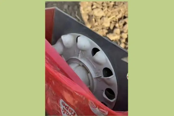 Simple Gardening Ideas: Gadgets You Don’t Need (But Might Love to Try!)