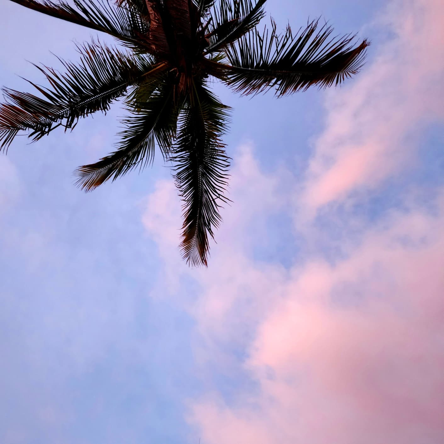 December in La Paz: Beaches, Food, and Life in Baja’s Best Month