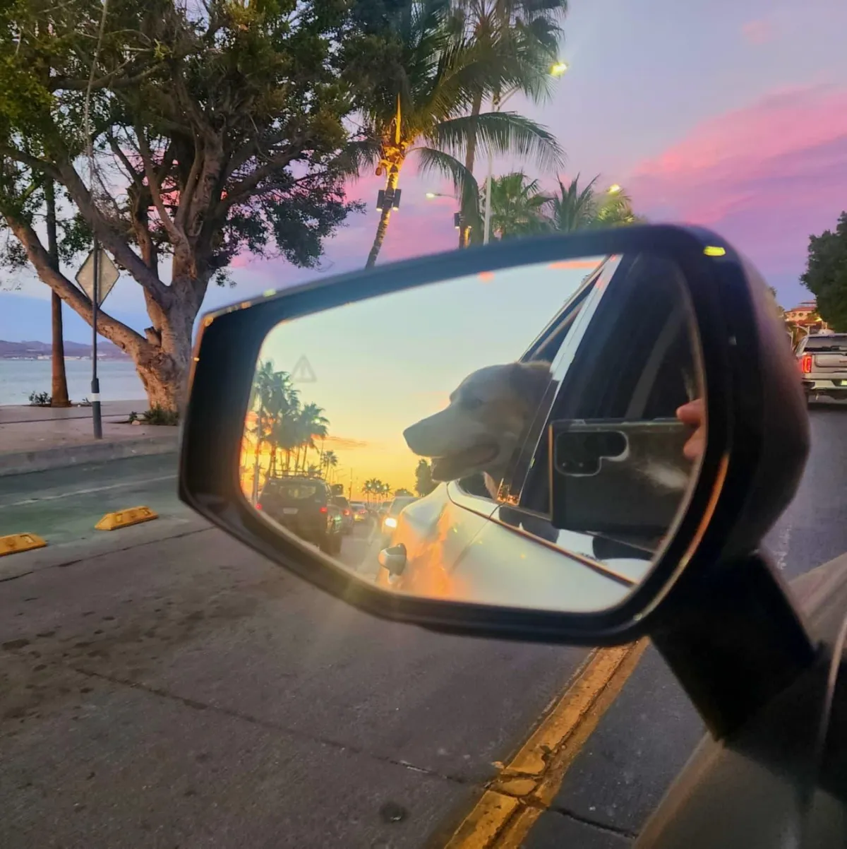 NYE in La Paz Shows Me Life's Possibilities