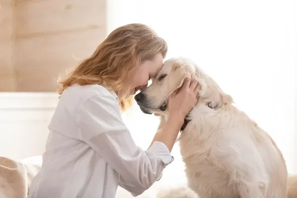The Power of Touch: 3 Simple Massage Techniques to Calm Your Anxious Pet