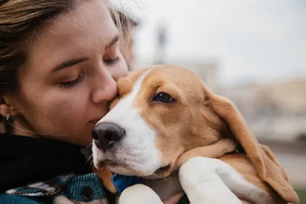 Sacred Transitions: Honoring the End-of-Life Journey with Your Animal Companion
