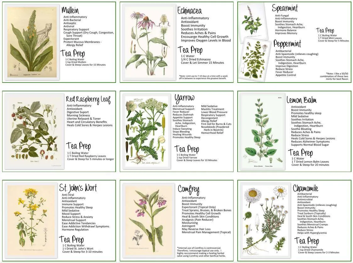 Herbal Medicine Cheat Sheet