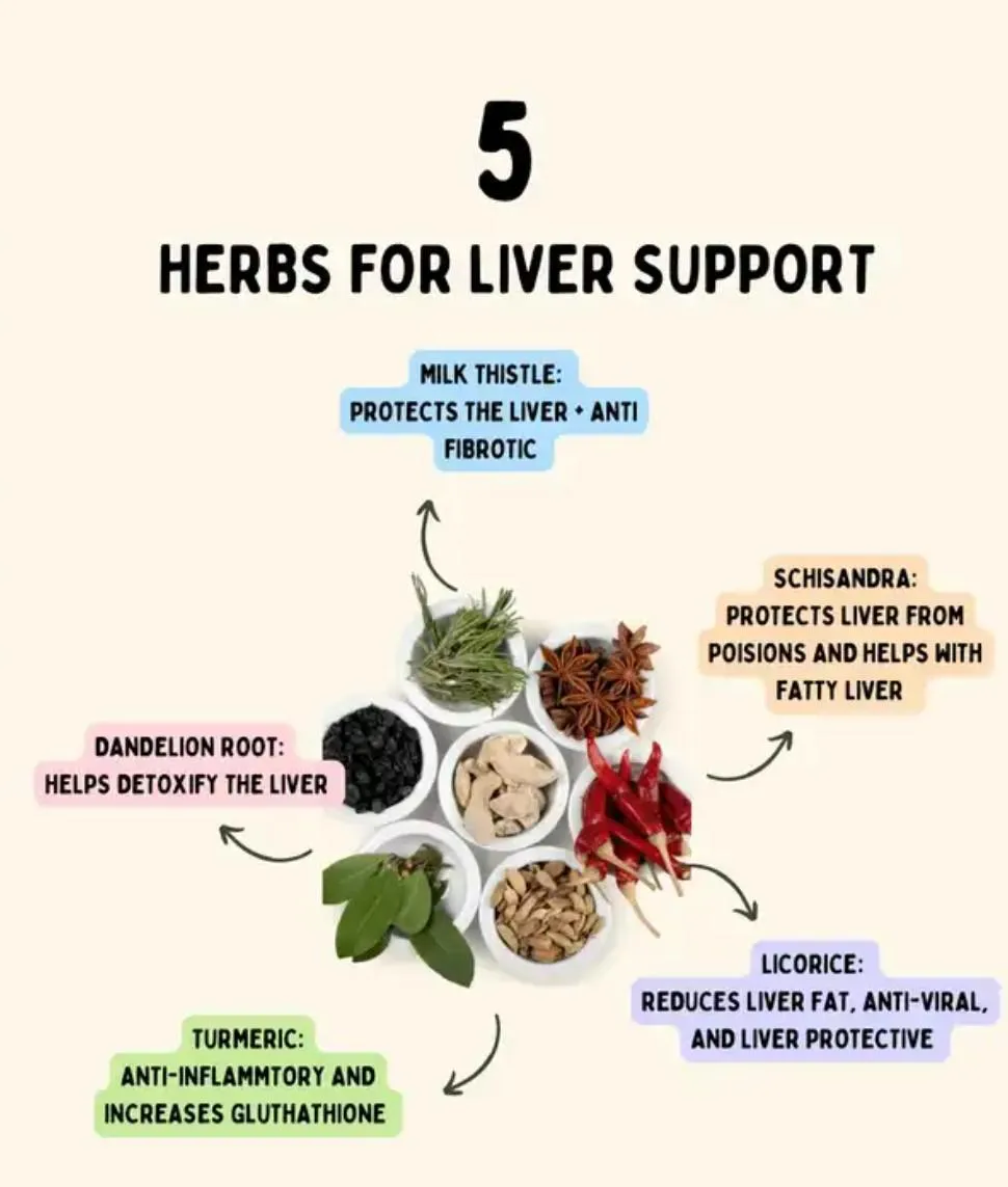 5 Herbs for Liver Support