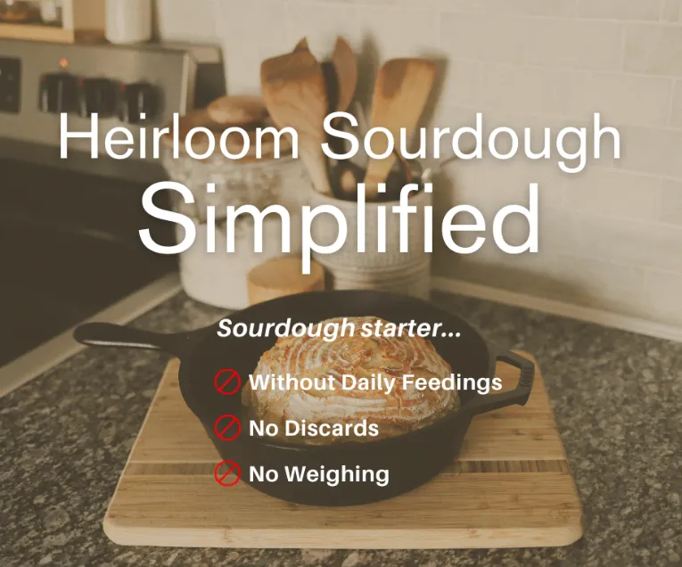Your First Loaf Awaits – Let’s Make It Perfect!