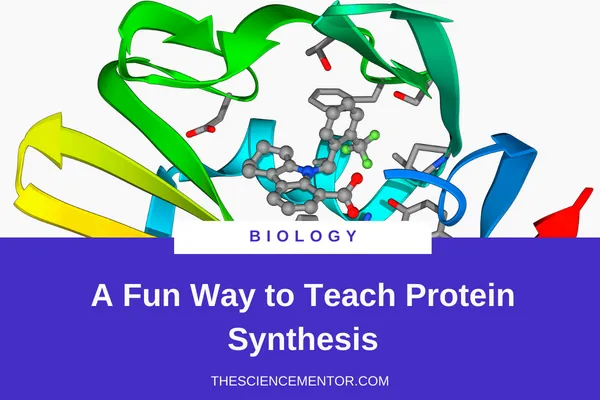 A Fun Way to Teach Protein Synthesis