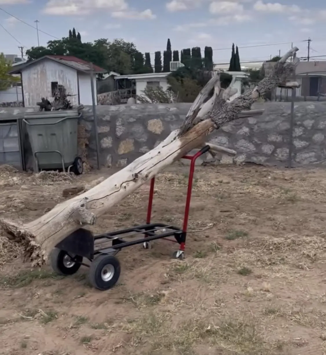 Big Branch on a Dolly