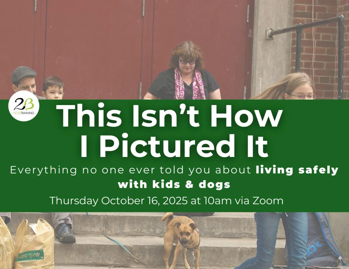 Text about an event on October 16 2025 on a green bar in the middle of a photo of several people on some steps. A dog looks out from under the green bar. 
