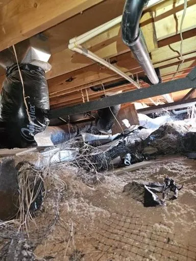 Trash underneath