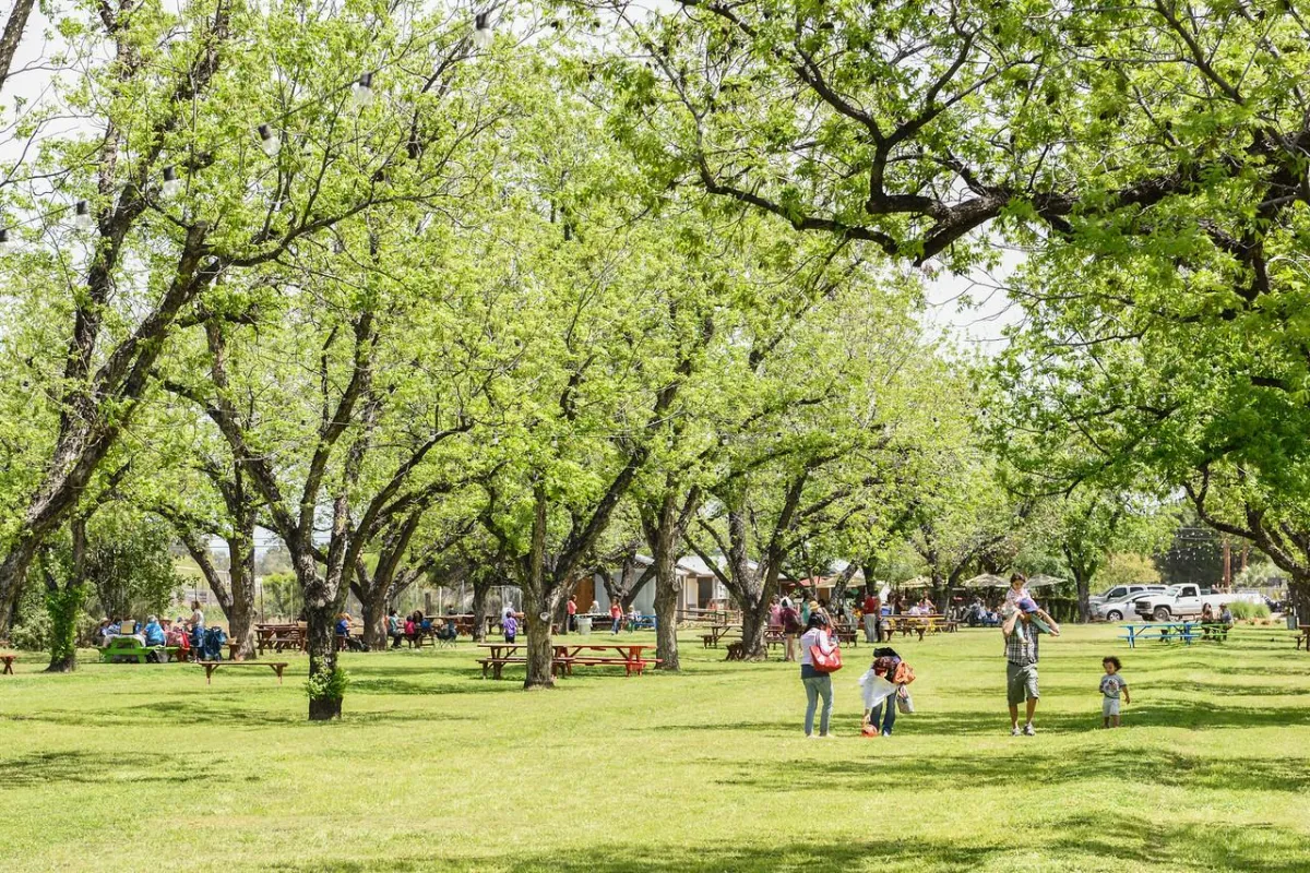 The Farm at South Mountain: Phoenix’s Oasis for Food, Fun, and Fresh Air