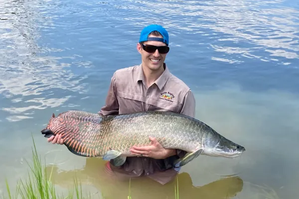 Arapaima fishing in the Amazon