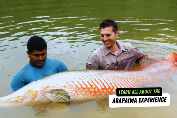 Interview: Arapaima Day Trip with Pastor Odali