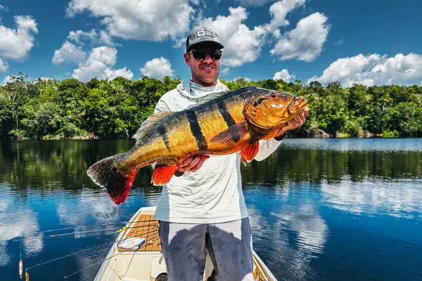 Peacock Bass Jig