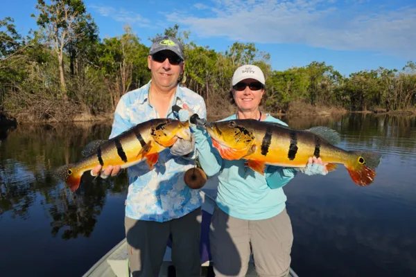 How to catch peacock bass