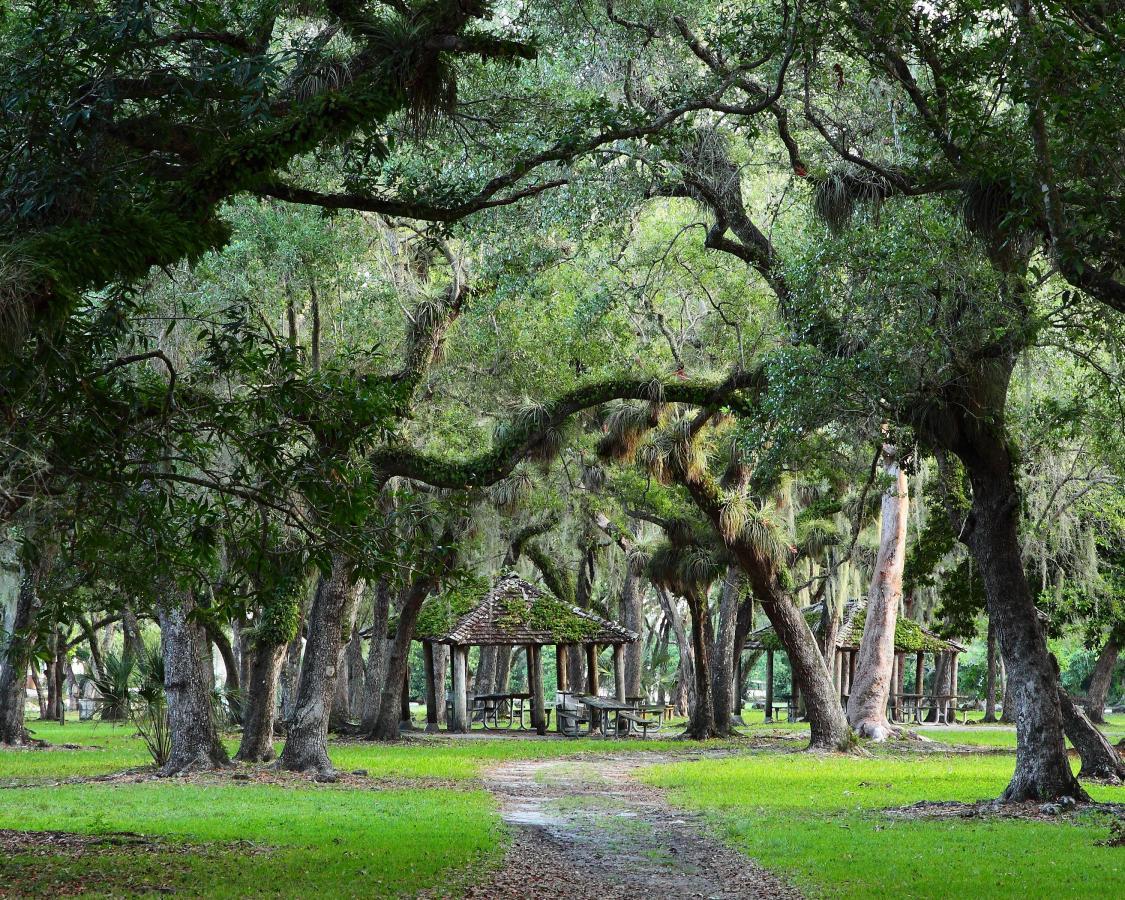 Escape to Nature: A Day at Matheson Hammock Park