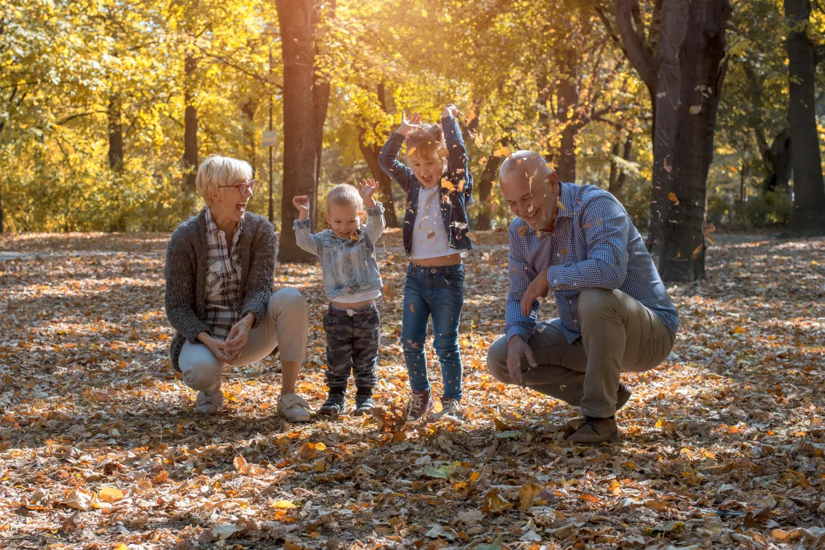 fall