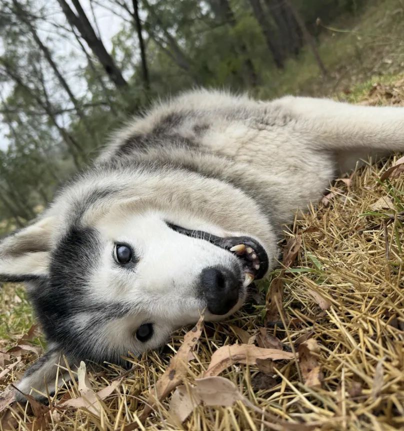 How We Care for Those Who’ve Walked Before Us