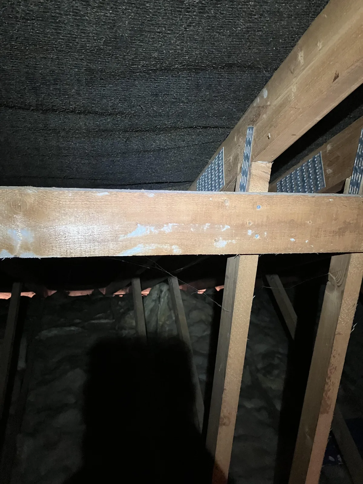 loft-damp-black-spots