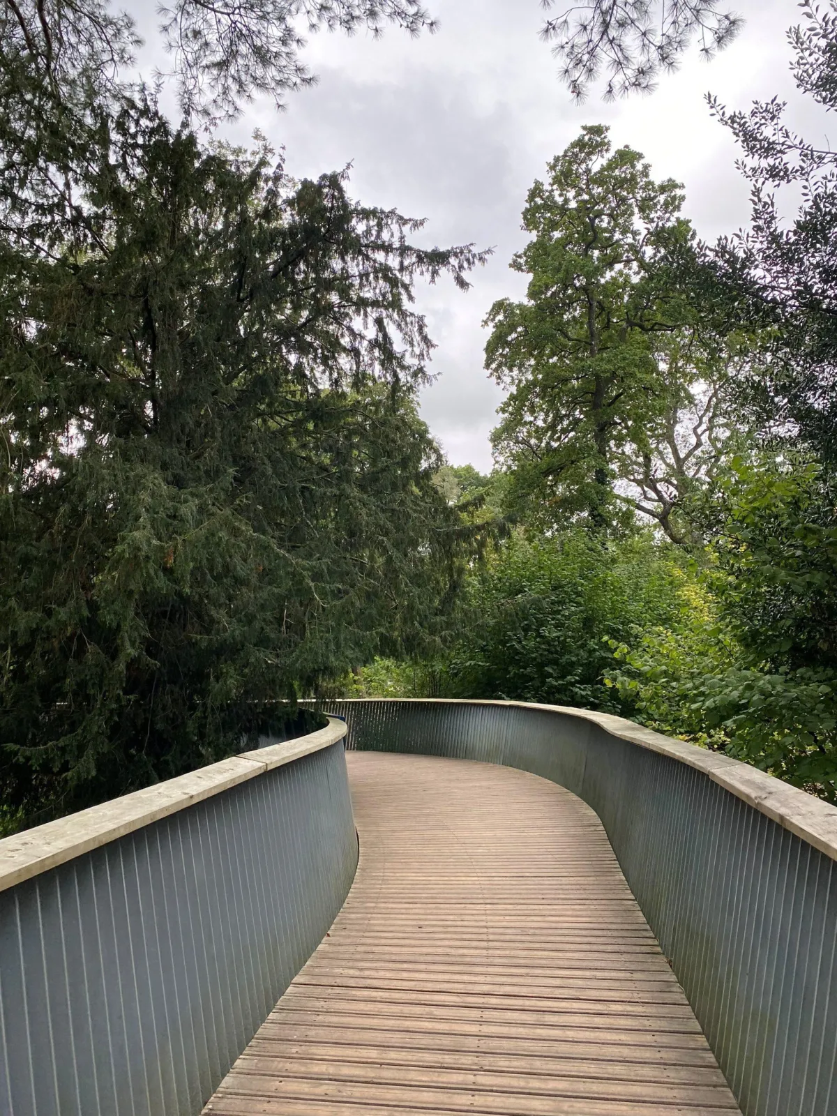 bridge