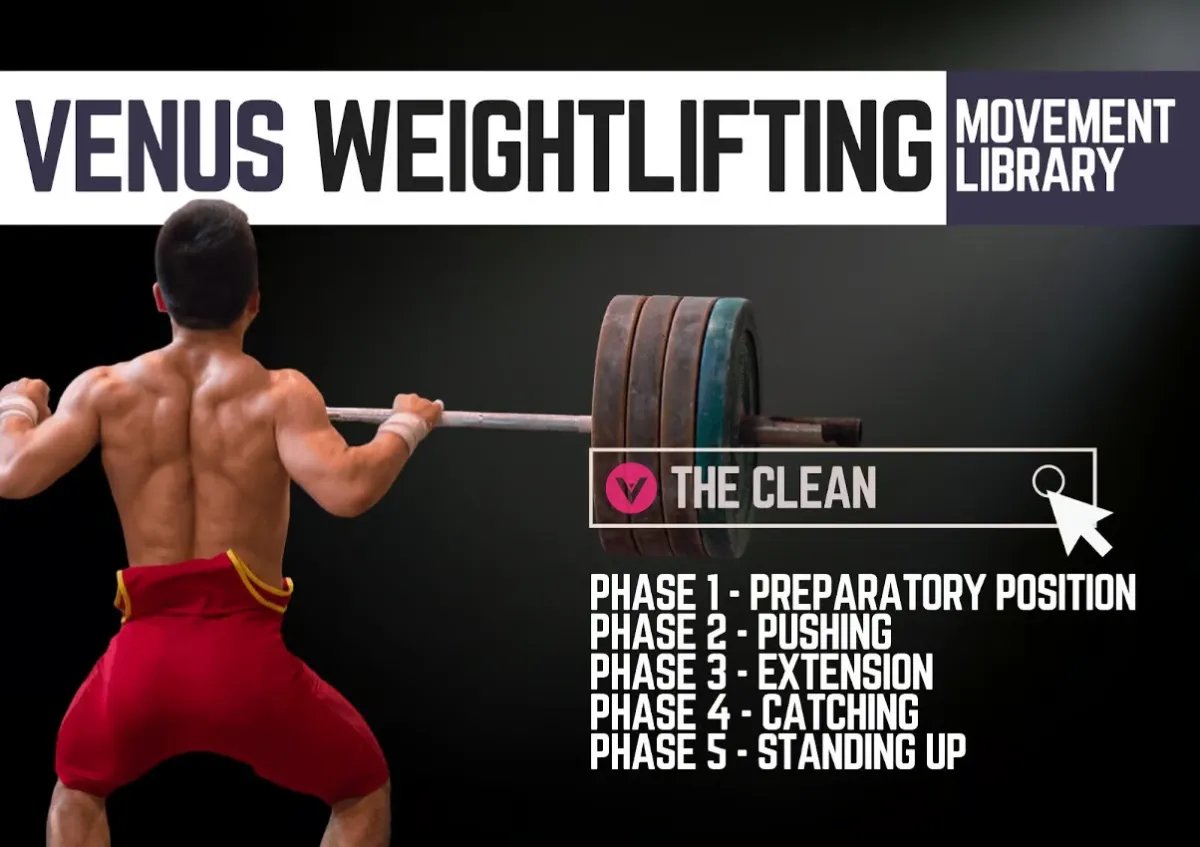 Venus Weightlifting Movement Library: The Clean