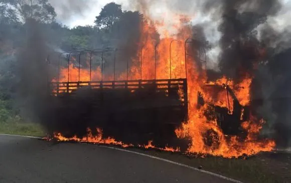 DriveTech - Ataques terroristas e inseguridad que sufren las empresas de transporte en el sur de Chile: Ante la falta de garantía del orden ¿Cómo resguardar el patrimonio de los privados?