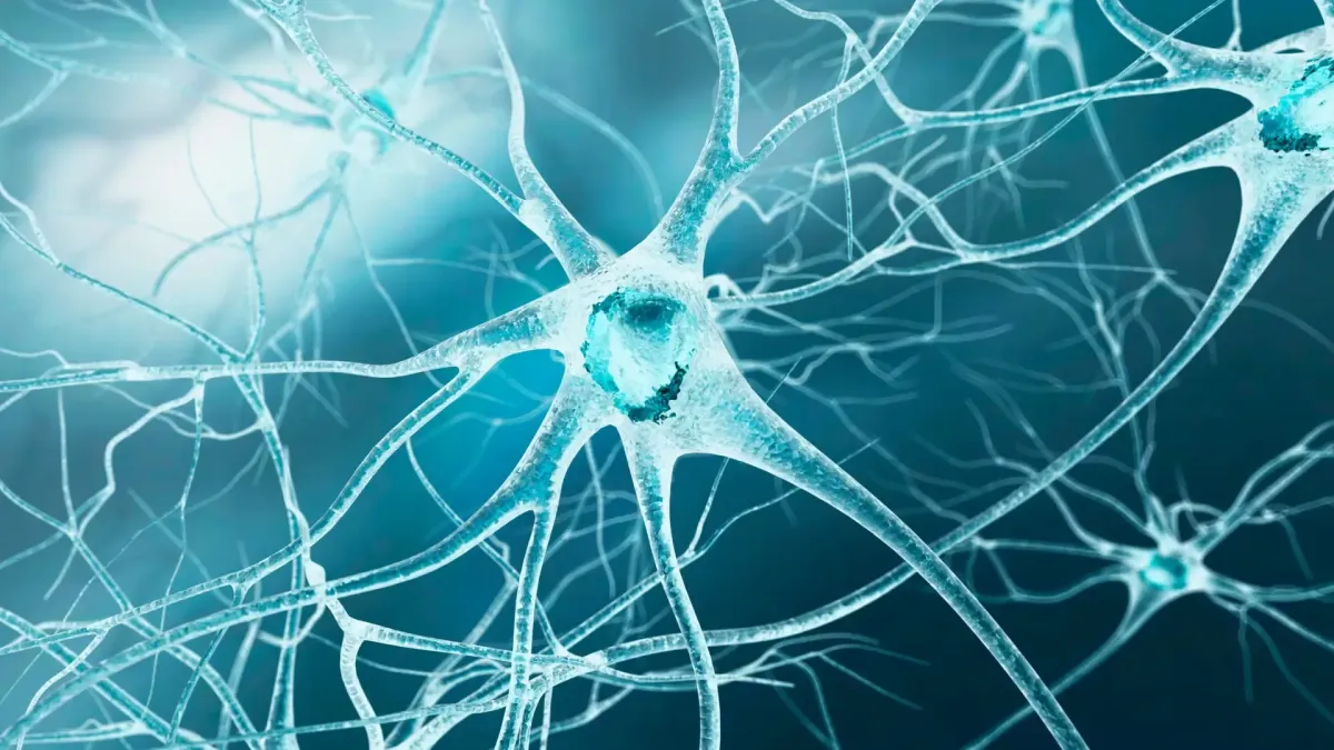 The 4 Most Common Causes of Nerve Damage…