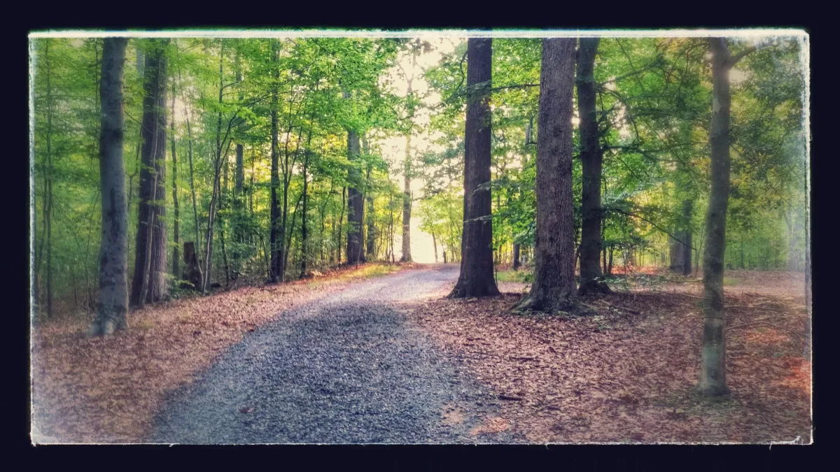 The Wisdom We Carried: A 2020 Interview that Still Speaks Truth in 2025